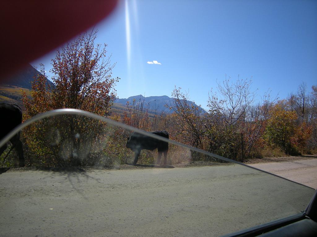 fall09 103
